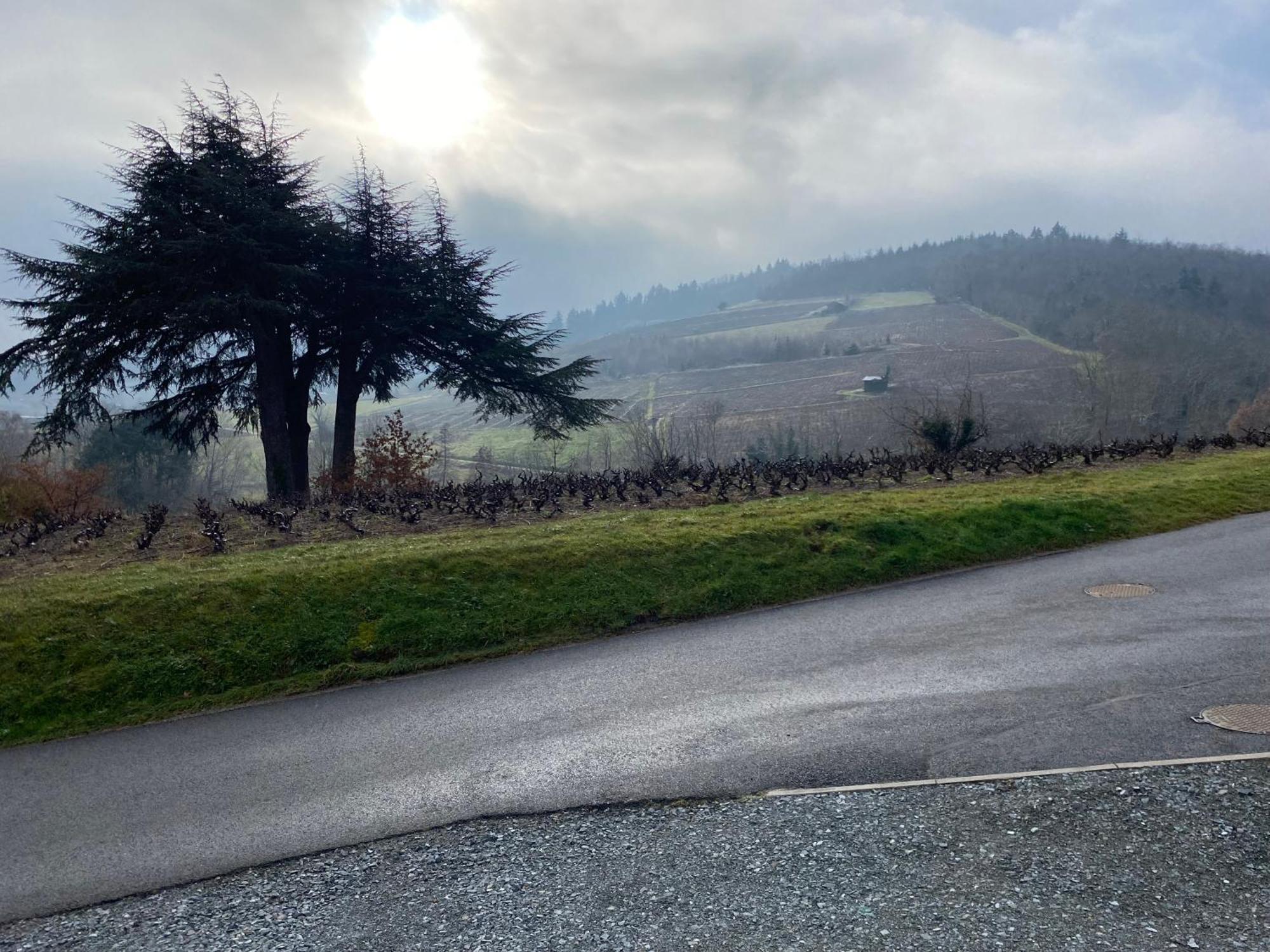 Le Bouchon De Liege * Beaujeu (Rhone)