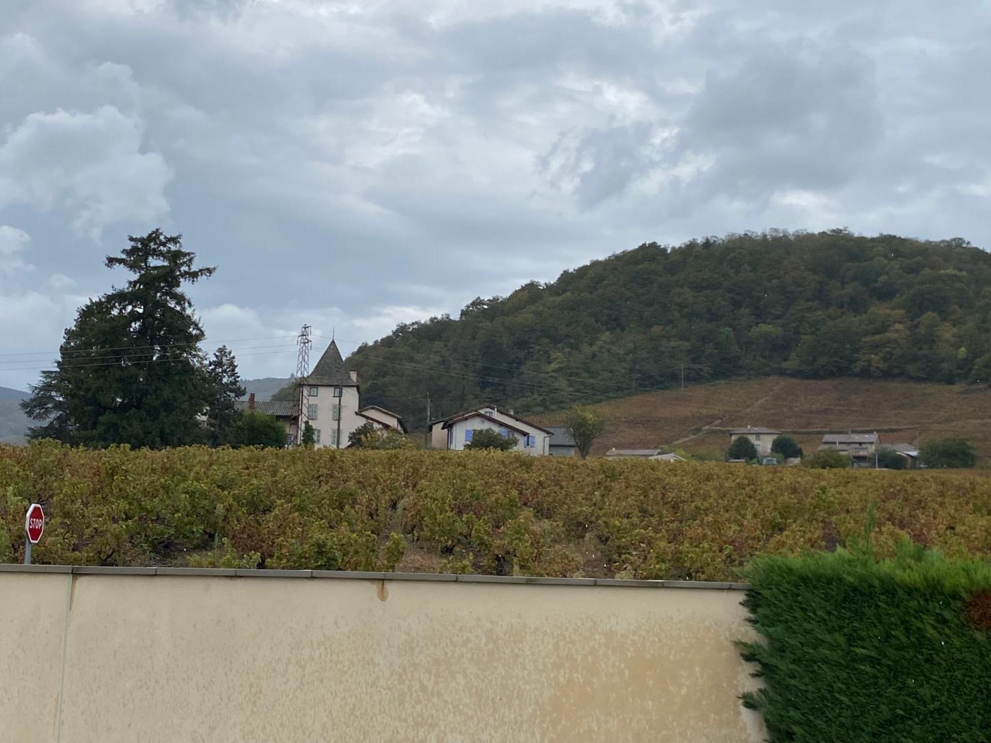 Le Bouchon De Liege Beaujeu (Rhone)